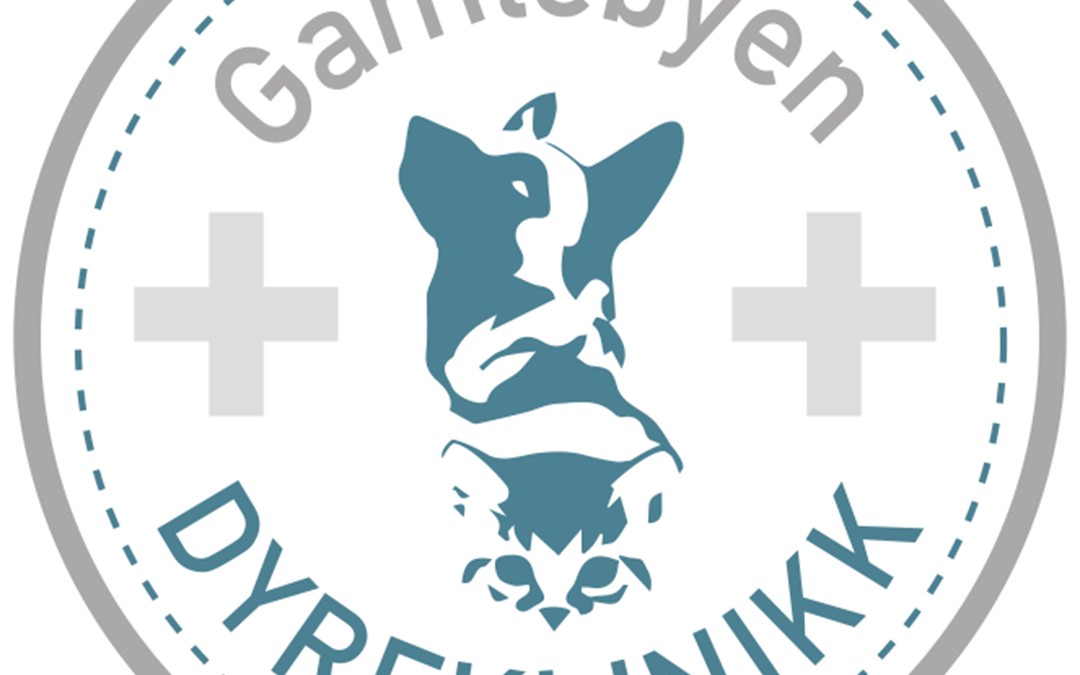 Gamlebyen Dyreklinikk AS – dekor og interiør